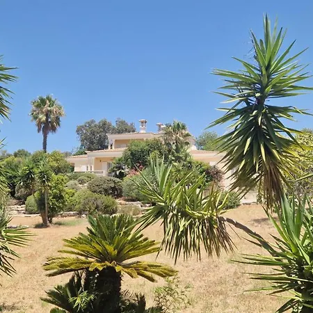 Casa Amani