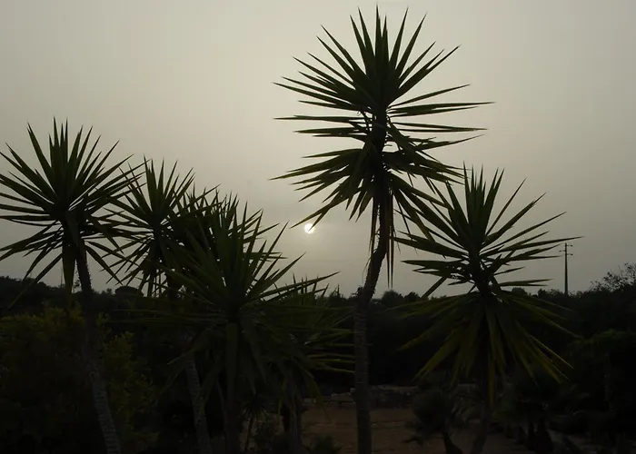 Casa Amani فيلة *